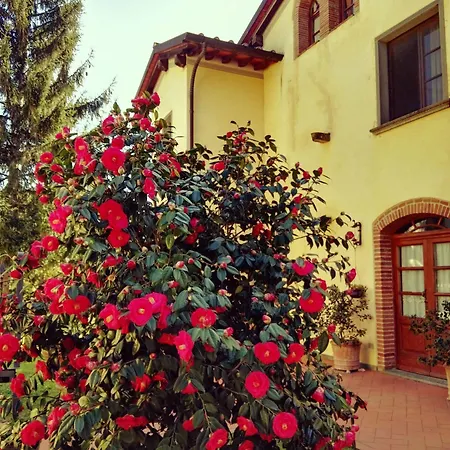 Hotel Il Piastrino